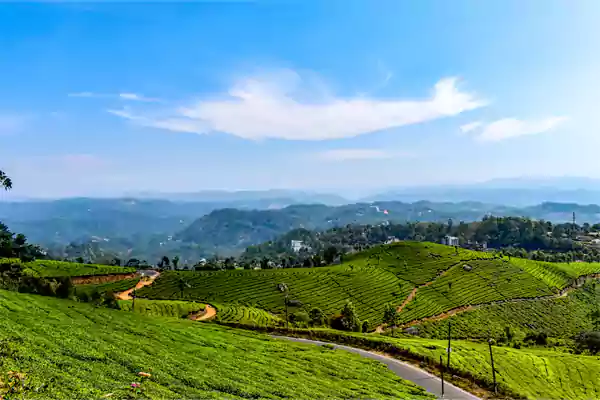 Munnar Kerala1