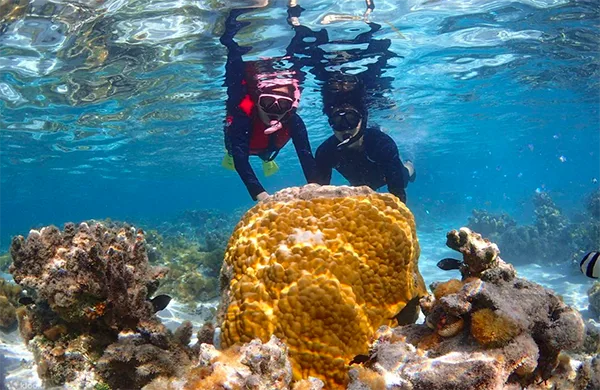 Saipan-Snorkeling-and-Diving-to-Explore-Coral-Reefs