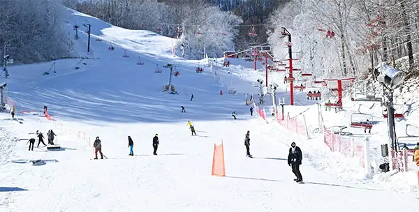 Snow Sports in the Smokies