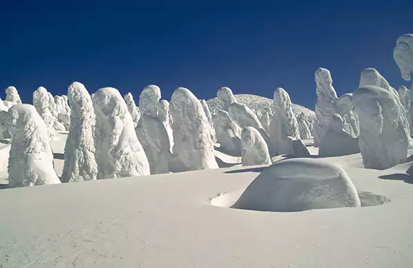 The Unique Structures of the Snow Monsters
