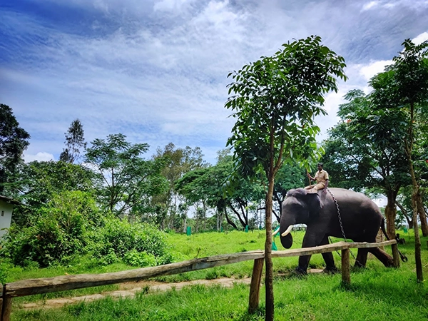 Coorg in February