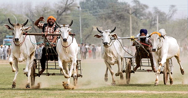 Ludhiana Rural Olympics in February