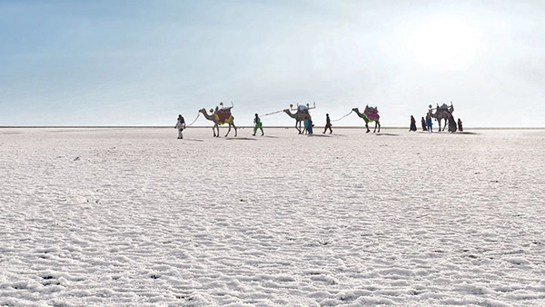 Rann of Kutch in February