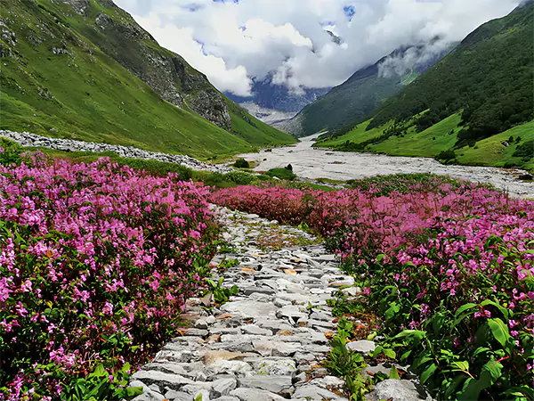 Valley of flowers Uttarakhand