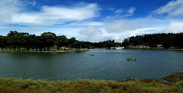 Yercaud in February