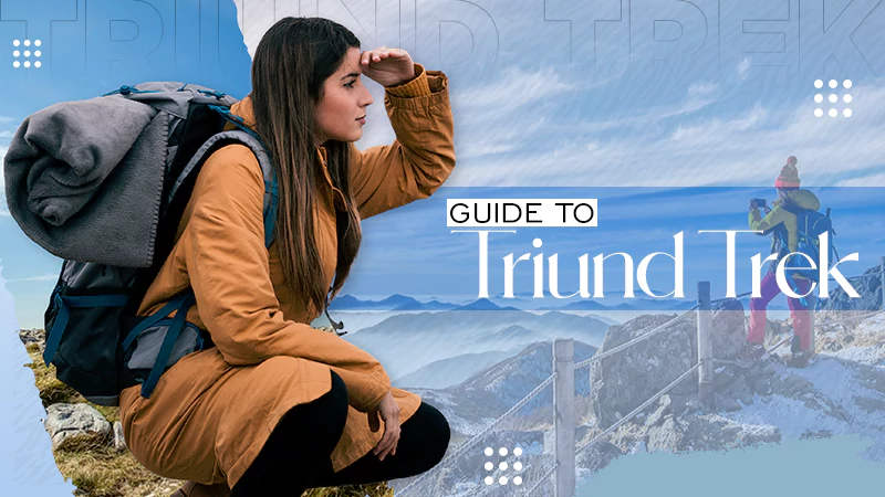 guide to triund trek