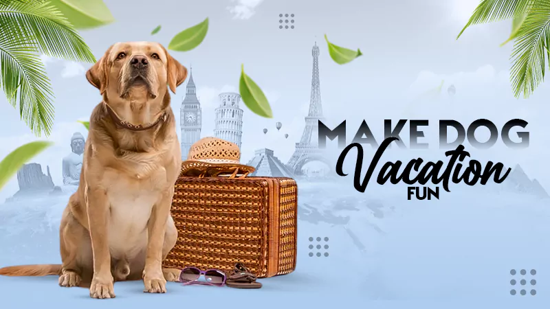 make dog vacation fun