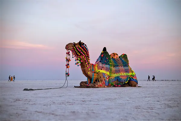 Kutch Desert 