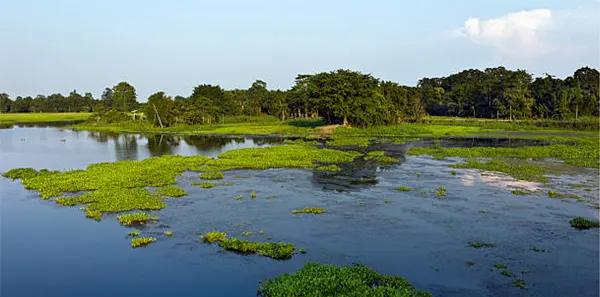 Majuli Island in Assam