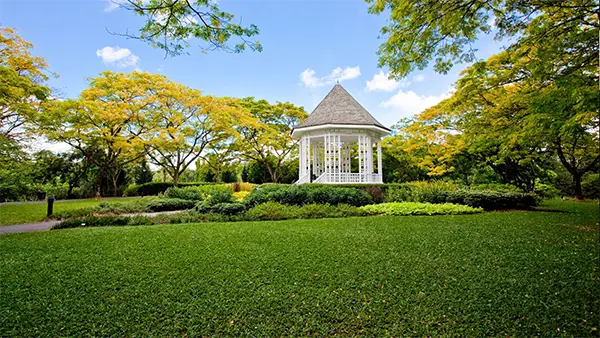 Singapore Botanic Gardens image