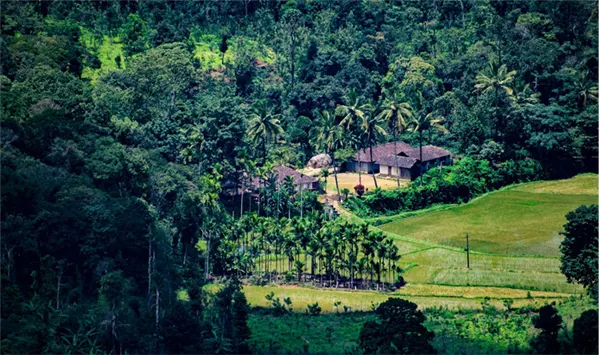 a small guest house in Coorg