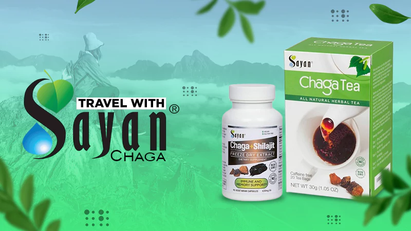 travel with sayan chaga