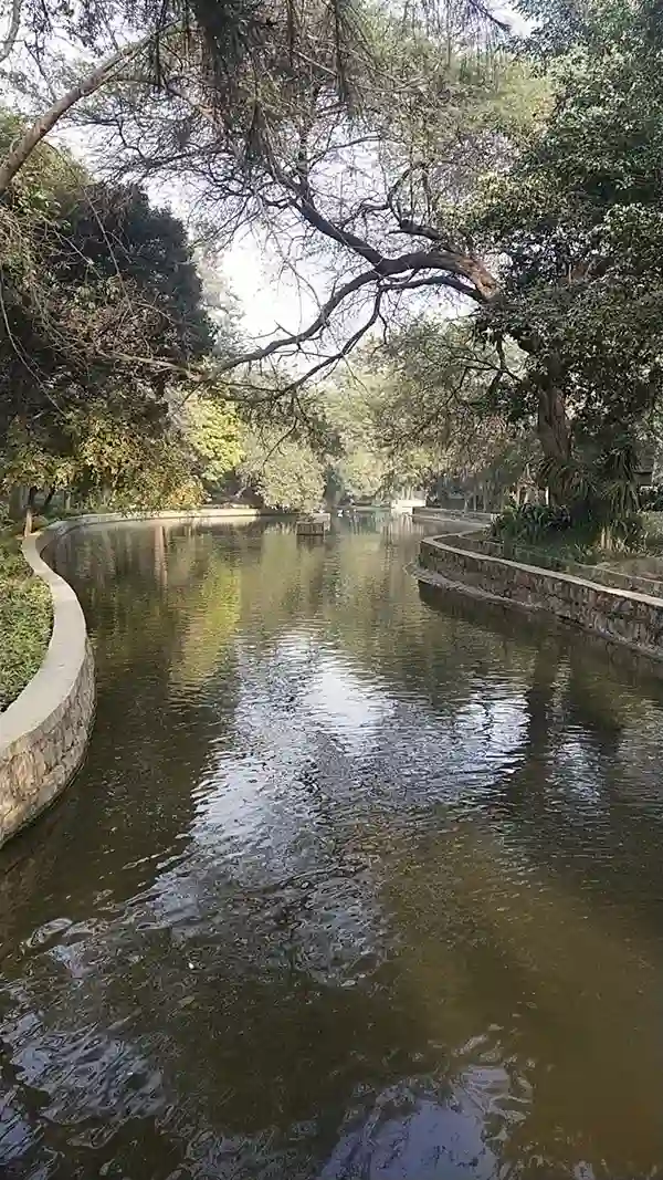 Lodhi Garden Lake