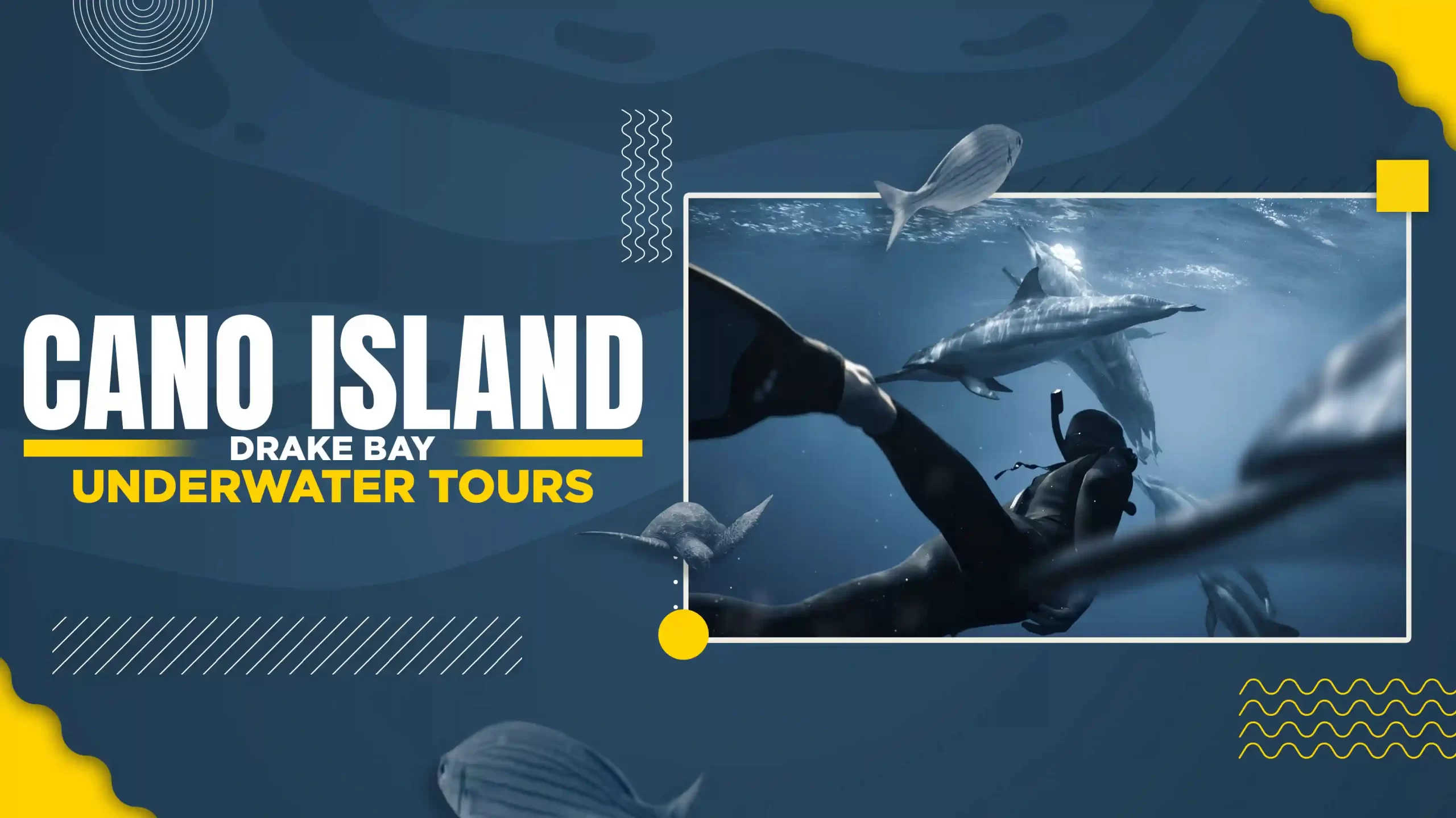 cano island drake bay underwater tours