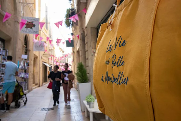 handbag in paris