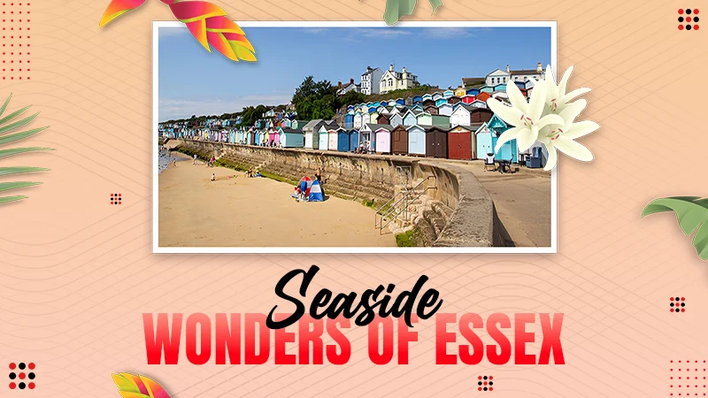 seaside wonders of essex