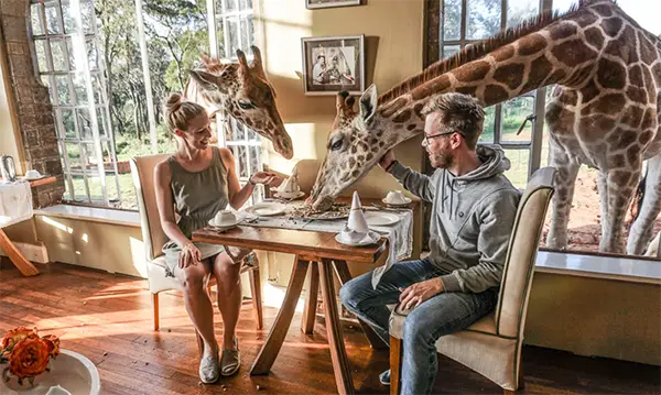 Breakfast At Giraffe Manor