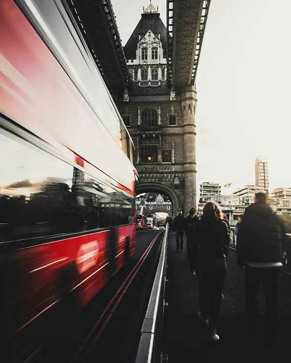 Bus Tours