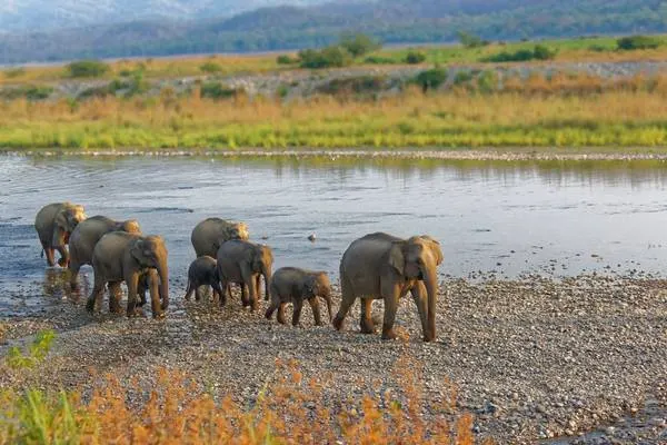 India’s diverse landscapes