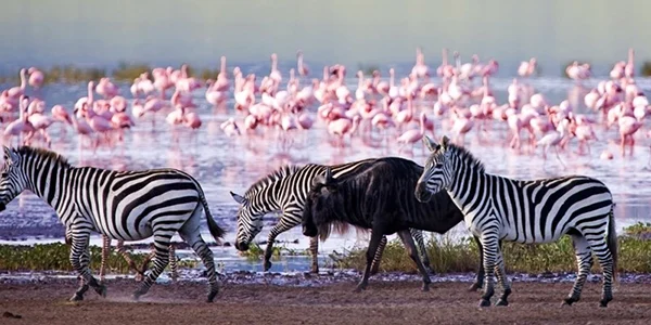 Kenya