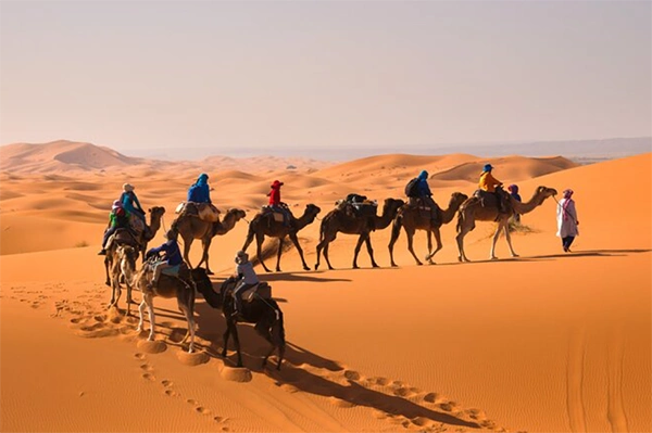 Morocco Tours