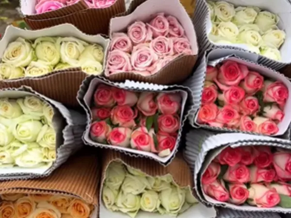 Ghazipur Flower Market in Delhi
