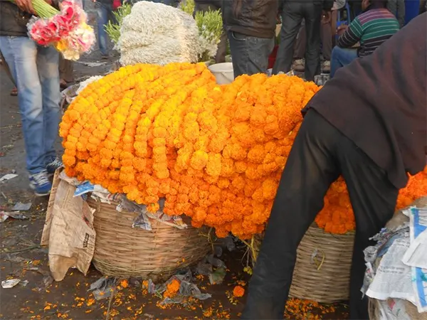 Phool Mandi Flower Market