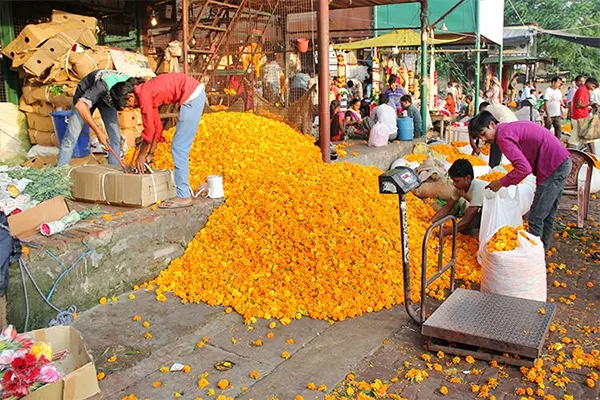 Phool Mandi Flower Market