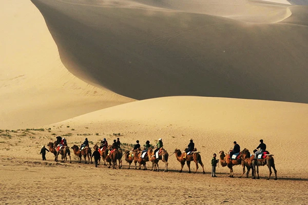  Taklamakan Desert