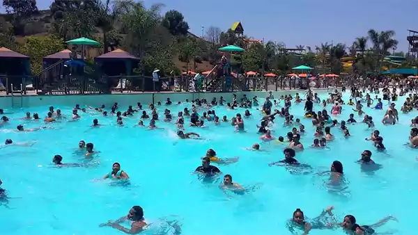 Wave Pool