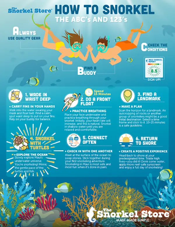 How to Snorkel