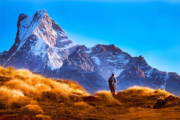 The Mardi Himal Trek 