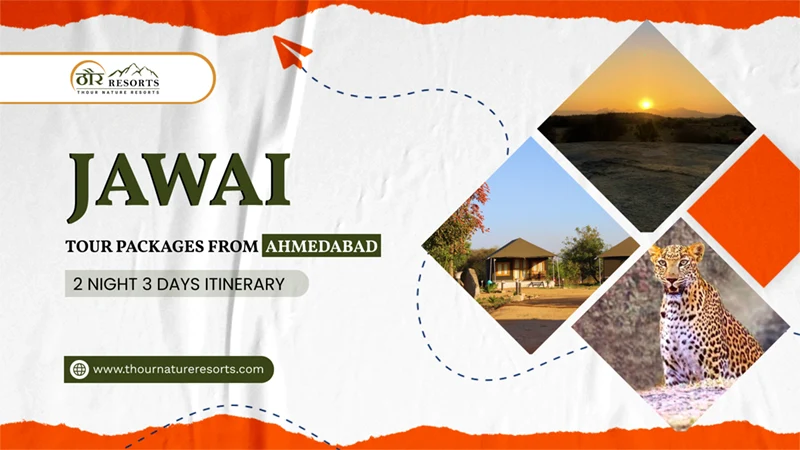 d - jawai tour package