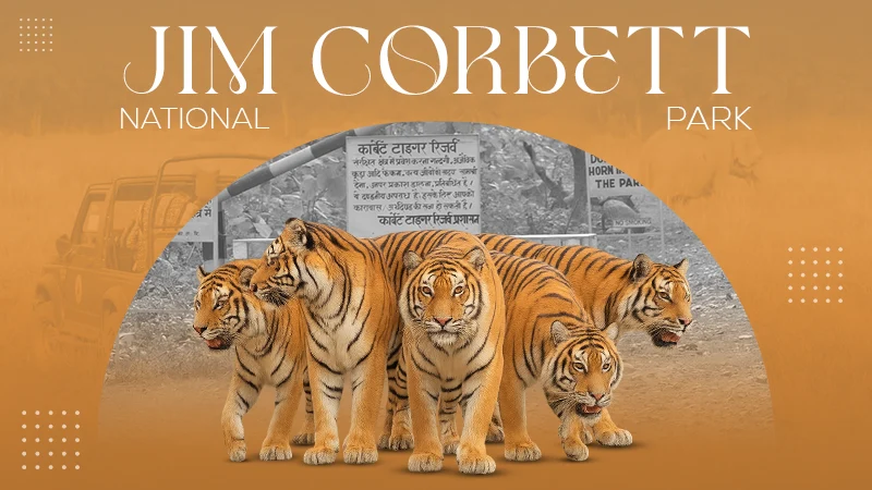 jim corbett national park