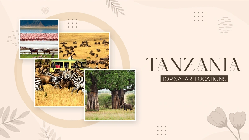 tanzania top safari locations