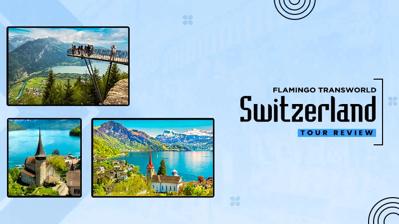 flamingo transworld switzerland tour review