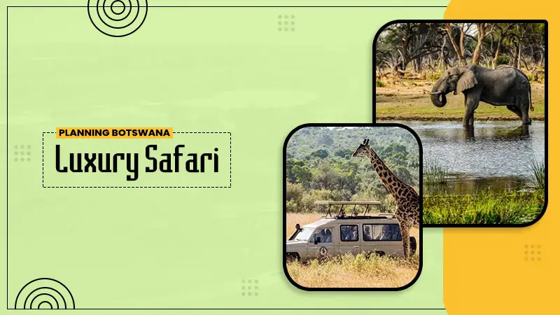 planning botswana luxury safari