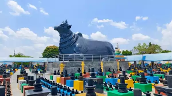 Sea of lingas