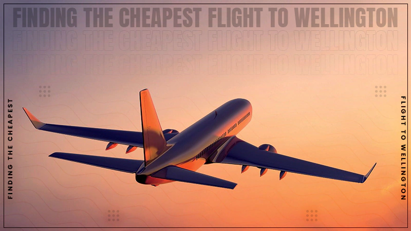 finding the cheapest flight to wellington
