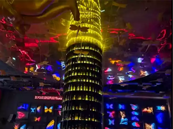 Dragonfly Experience