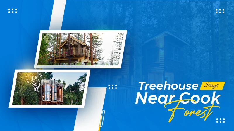 Cook forest treehouse