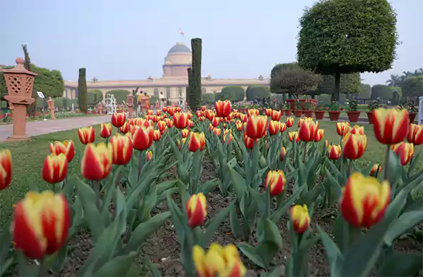 Mughal Garden opening
