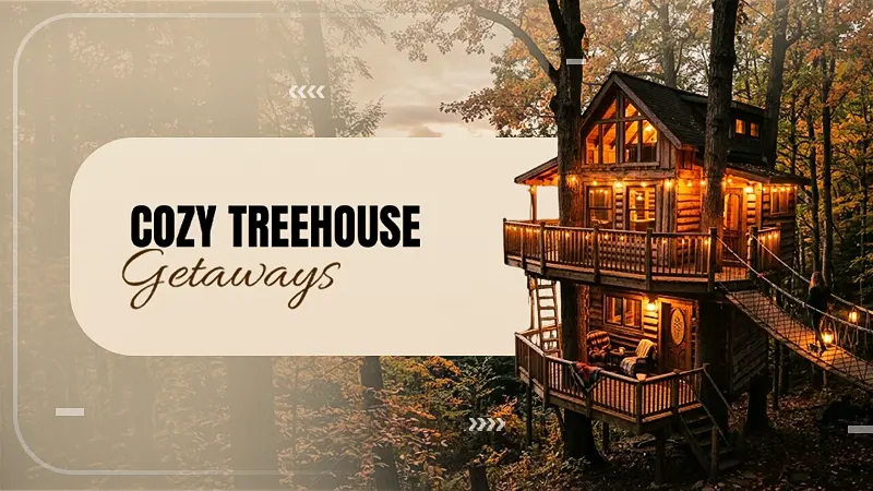 Canopy Comfort The Magic of Treehouse Stays Near Cook Forest, PA