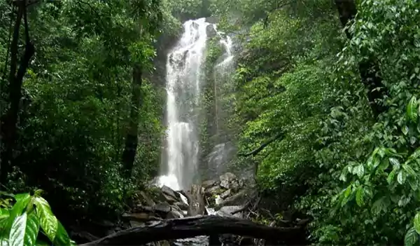 Arasinagundi Falls