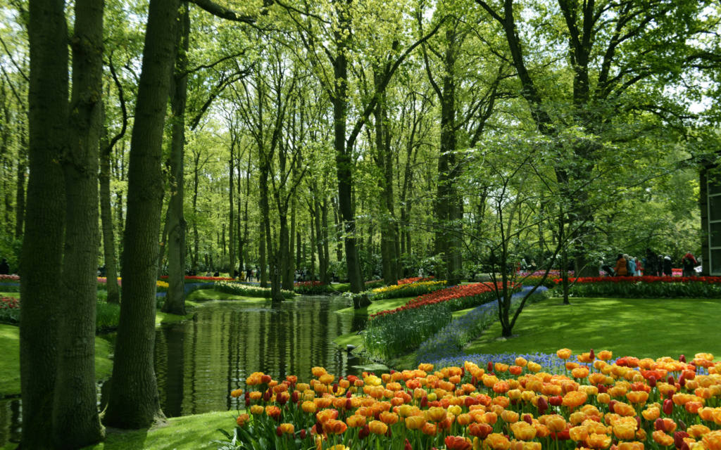Keukenhof