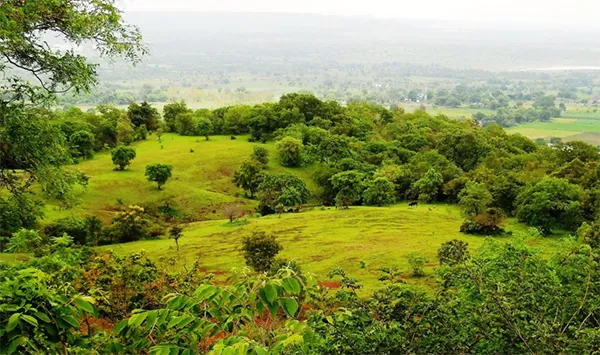 Ananthagiri Forest 