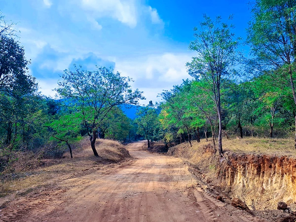 Cauvery Wildlife Sanctuary