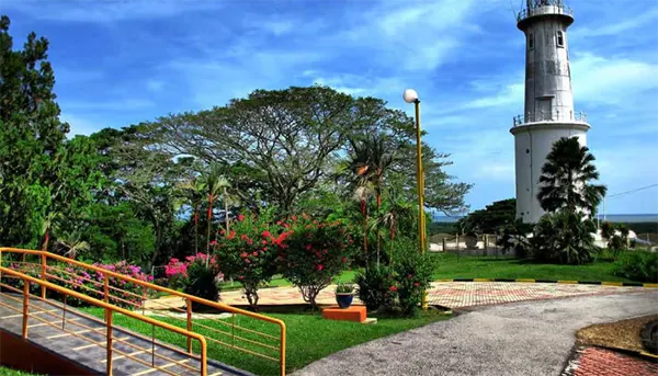Light House Hill Garden