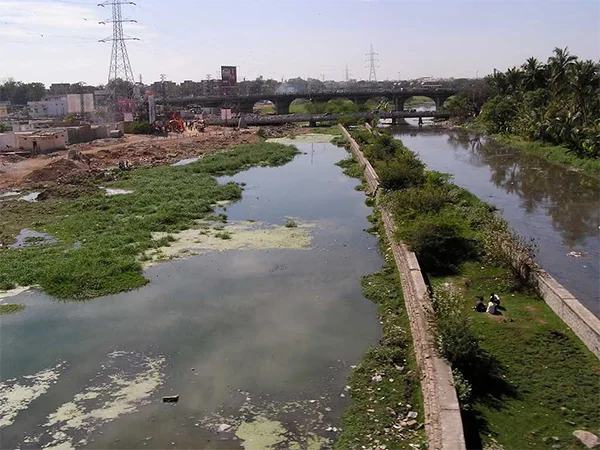 Musi River
