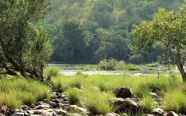 Muthathi Forest